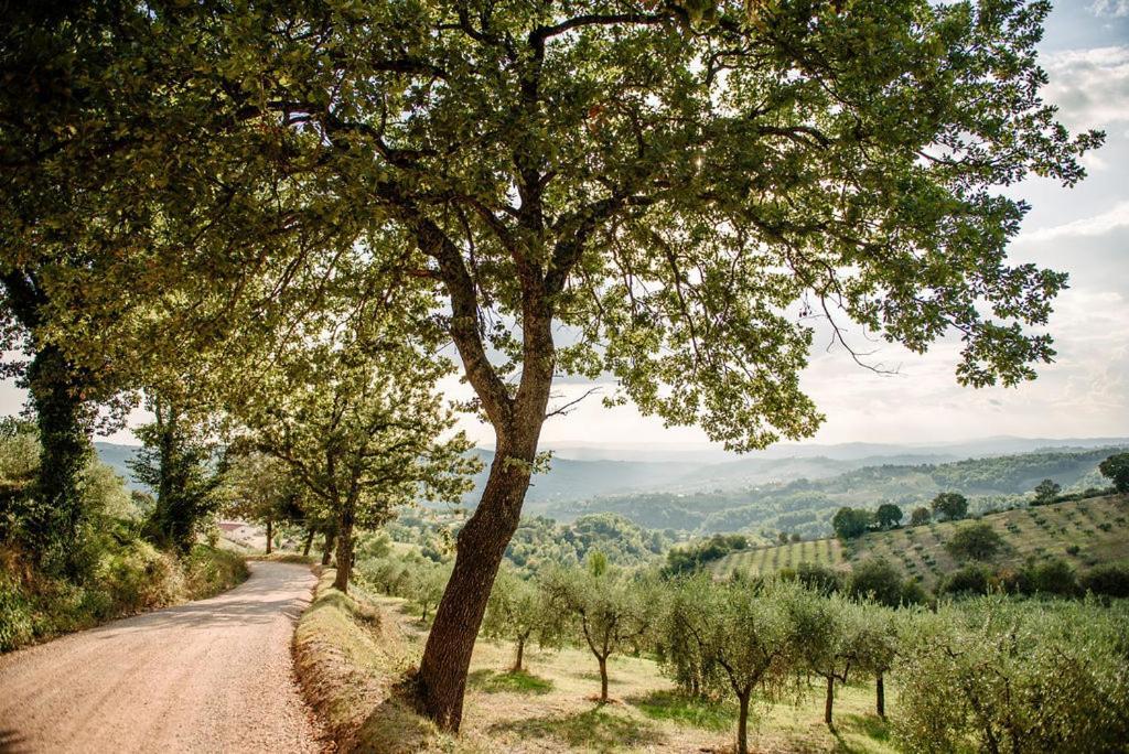 Tenuta Di Forte Sorgnano Gualdo Cattaneo Luaran gambar