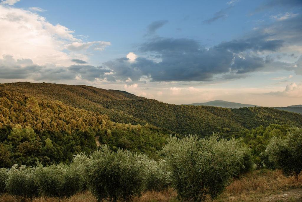 Tenuta Di Forte Sorgnano Gualdo Cattaneo Luaran gambar