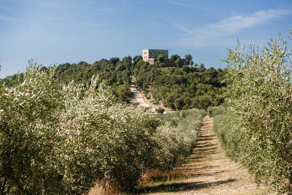 Tenuta Di Forte Sorgnano Gualdo Cattaneo Luaran gambar